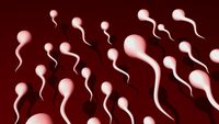 Bagaimana Cara Mengeluarkan Sperma Wanita
