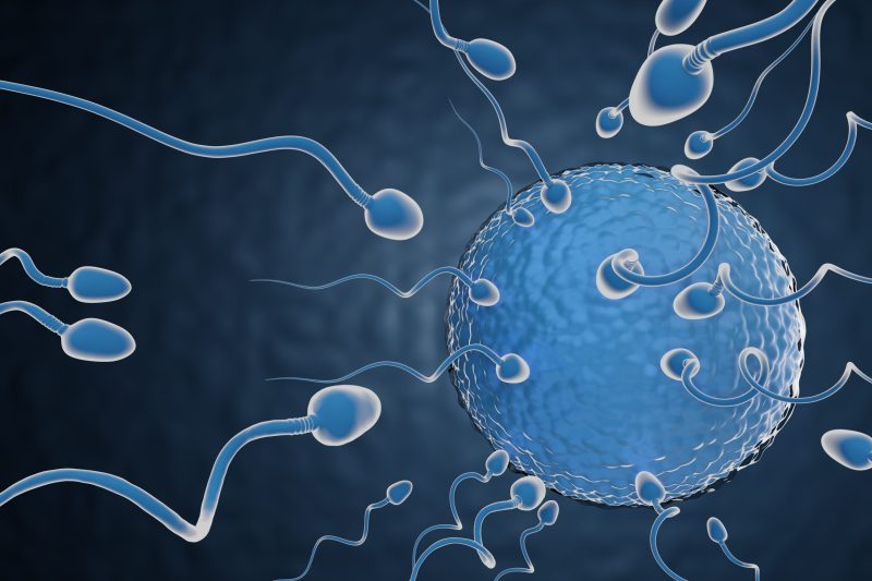 Cara Mengeluarkan Sperma Dengan Mudah