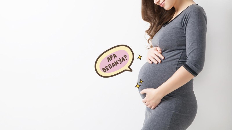 Perkembangan Janin Usia Kehamilan 30 Minggu