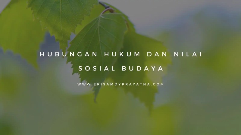 Perkembangan Sosial Budaya Di Indonesia