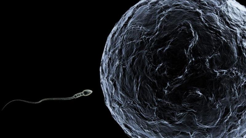 Apa Yang Terjadi Jika Sering Mengeluarkan Sperma